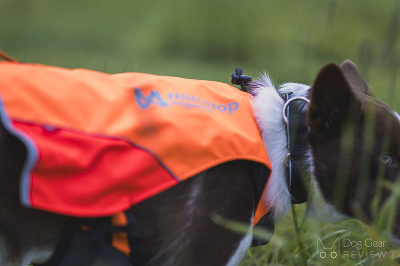 Non-stop Dogwear Protector Vest Review | Dog Gear Review