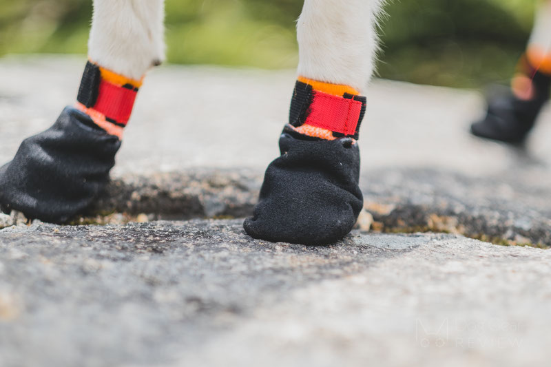 Non-stop Dogwear Protector Bootie Review | Dog Gear Review