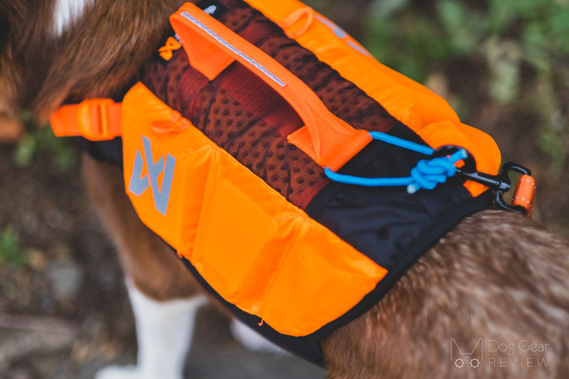 Non stop Dogwear Protector Life Jacket Review