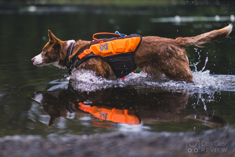 Aussie naturals shop dog life jacket