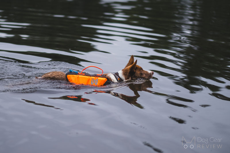 Non-stop Dogwear Protector Life Jacket Review | Dog Gear Review
