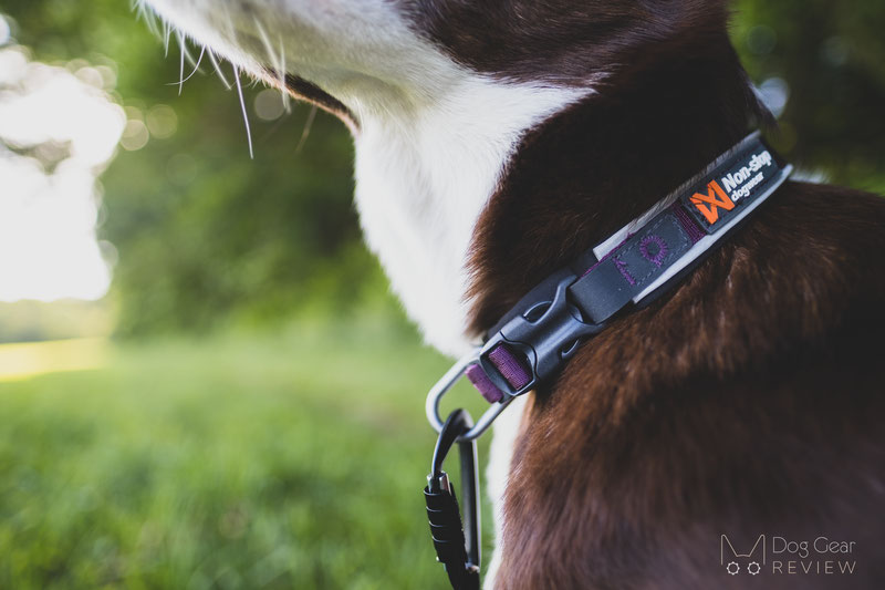 Non-stop Dogwear Roam Collar Review | Dog Gear Review