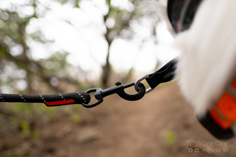 Non-stop Dogwear Rock Adjustable Leash Review | Dog Gear Review