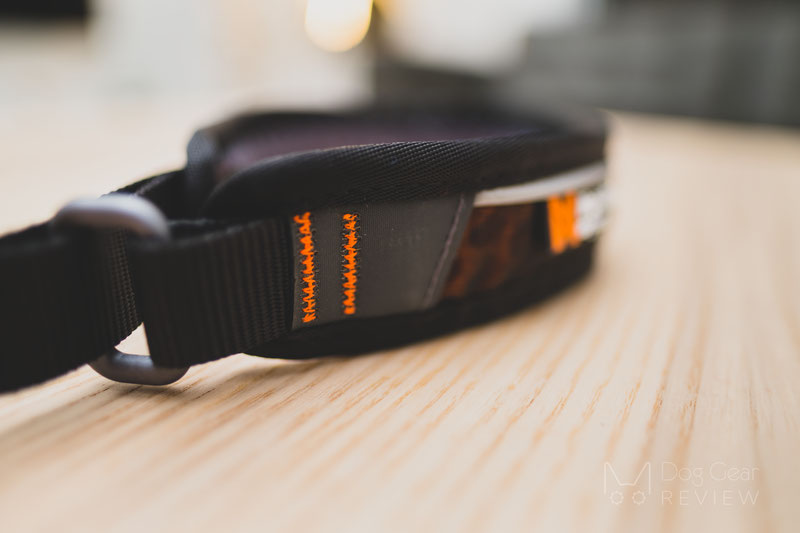 Non-stop Dogwear Rock Collar & Move Leash Review | Dog Gear Review