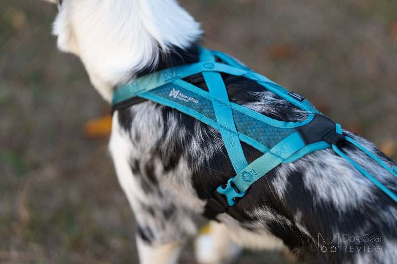 Non-stop Dogwear Rush Harness Review | Dog Gear Review