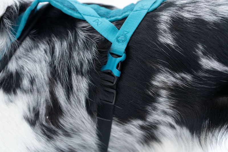 Non-stop Dogwear Rush Harness Review | Dog Gear Review