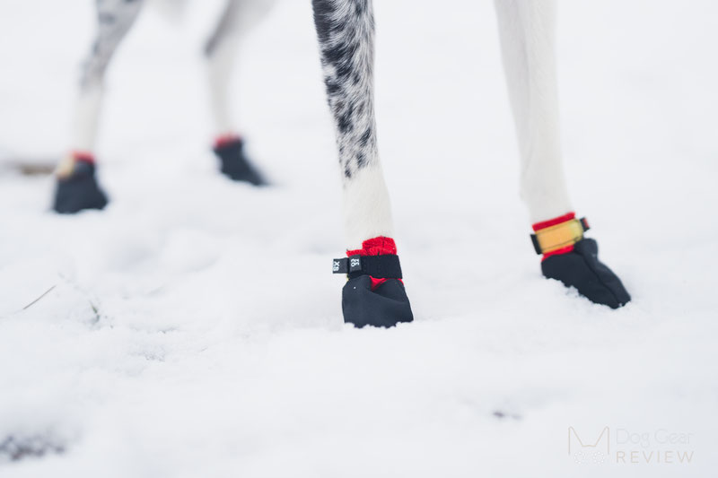 Nonskid Dog Socks Edmonton, Dog Boots