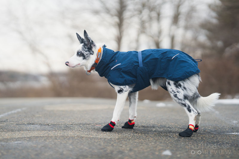 Non-stop dogwear Solid Socks x 4 - Calzini per cani