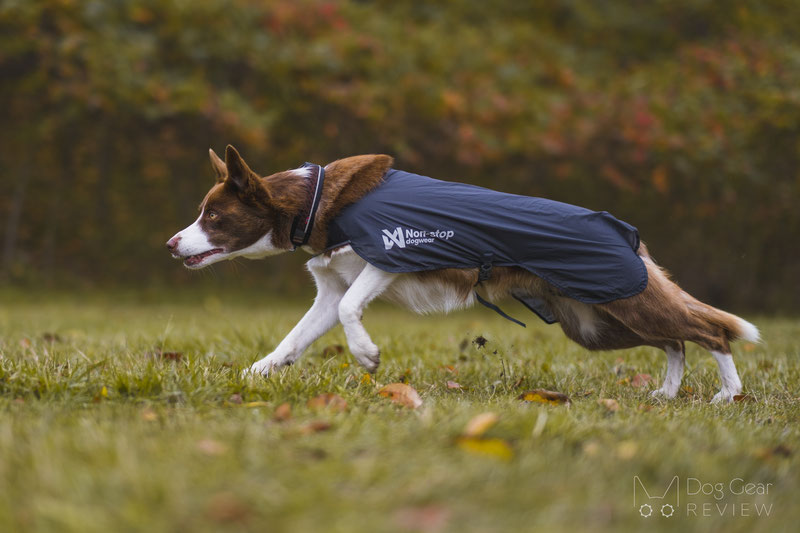 Non-stop Dogwear Trail Light Dog Jacket Review | Dog Gear Review