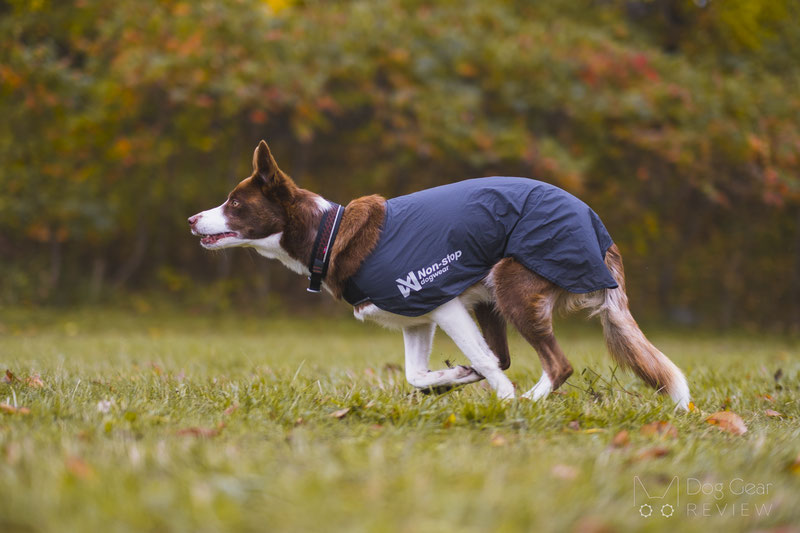 Non-stop Dogwear Trail Light Dog Jacket Review | Dog Gear Review