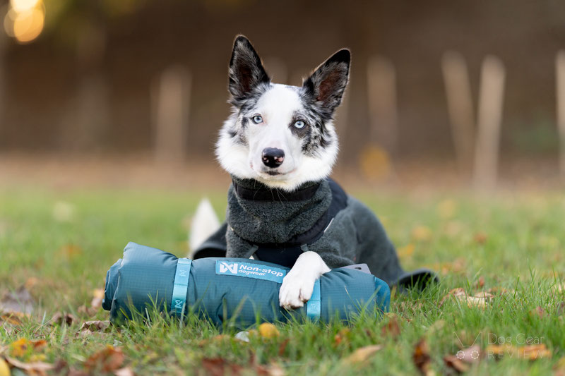 Non-Stop Dogwear Trekking Dog Bed Review | Dog Gear Review