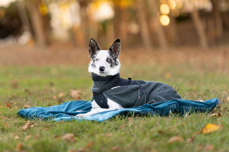 Non-Stop Dogwear Trekking Dog Bed Review | Dog Gear Review