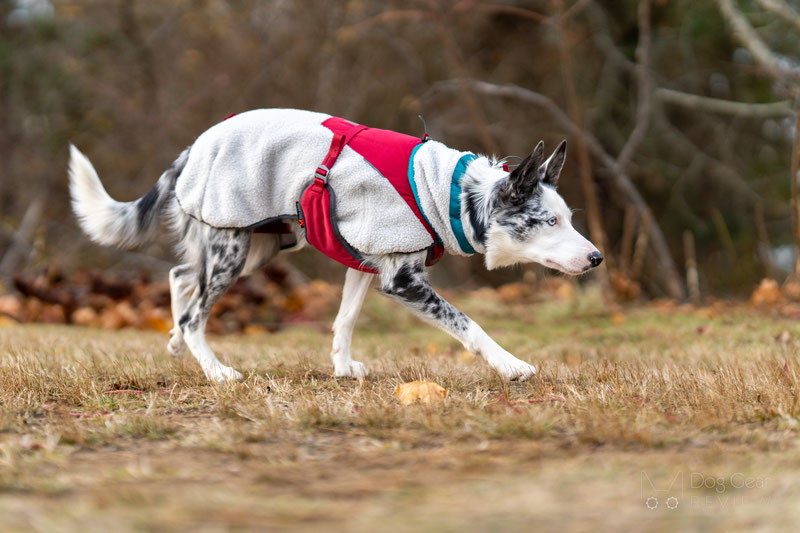 Non-Stop Dogwear Trekking Fleece Review | Dog Gear Review