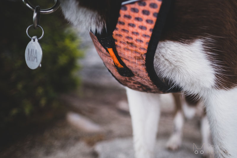 Non-stop Dogwear Ultra Harness Review | Dog Gear Review