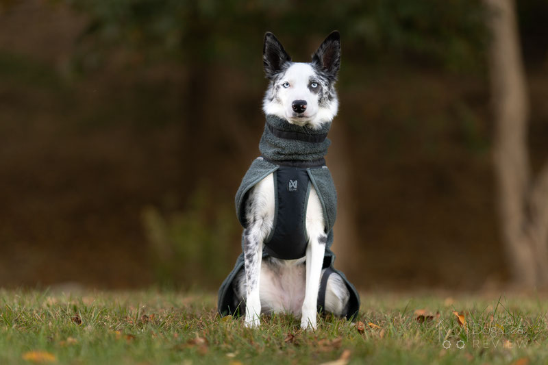 Non-Stop Dogwear Wool Jacket Review | Dog Gear Review