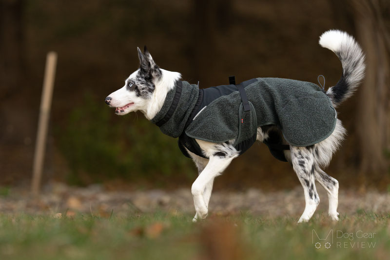 Non-Stop Dogwear Wool Jacket Review | Dog Gear Review