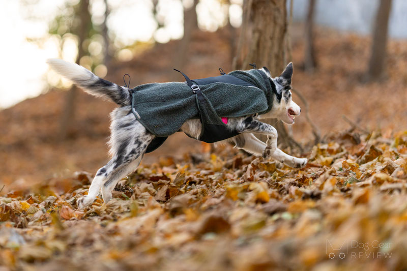 Non-Stop Dogwear Wool Jacket Review | Dog Gear Review