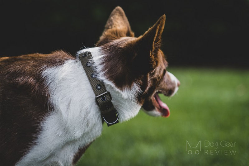 Reflective Adjustable Pet Neckerchief for Medium to Large Dog OneTigris Bandana Collar 