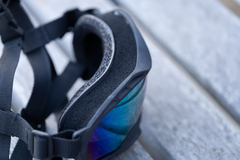 OneTigris Dog Goggles Review | Dog Gear Review