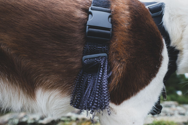 OneTigris Goliath Training Harness Review | Dog Gear Review