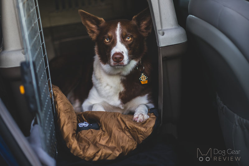 OneTigris Dog Sleeping Mat 03 Review | Dog Gear Review