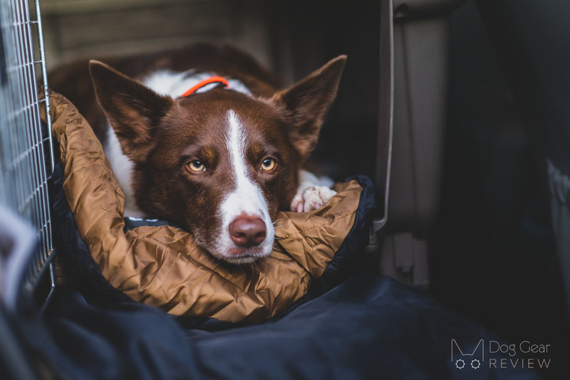 OneTigris Dog Sleeping Mat 03 Review | Dog Gear Review