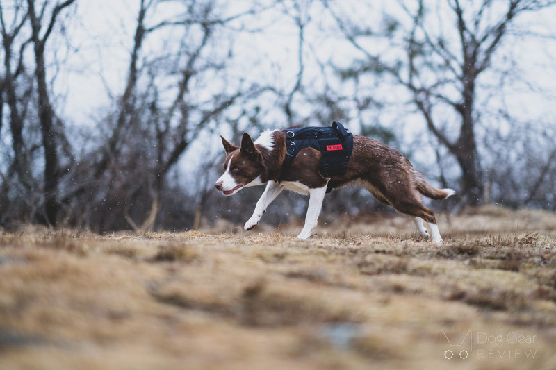 Onetigris Tactical Dog Harness for Large Dog Full Metal Buckled No Pul –  KOL PET