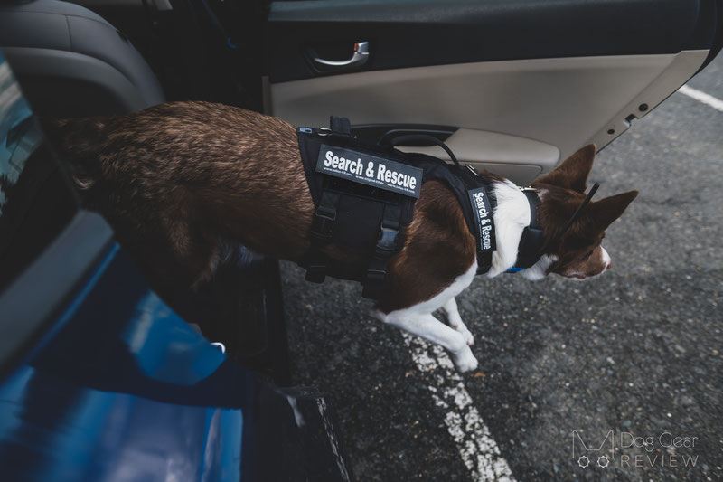 OneTigris Metall K9 Harness Review | Dog Gear Review