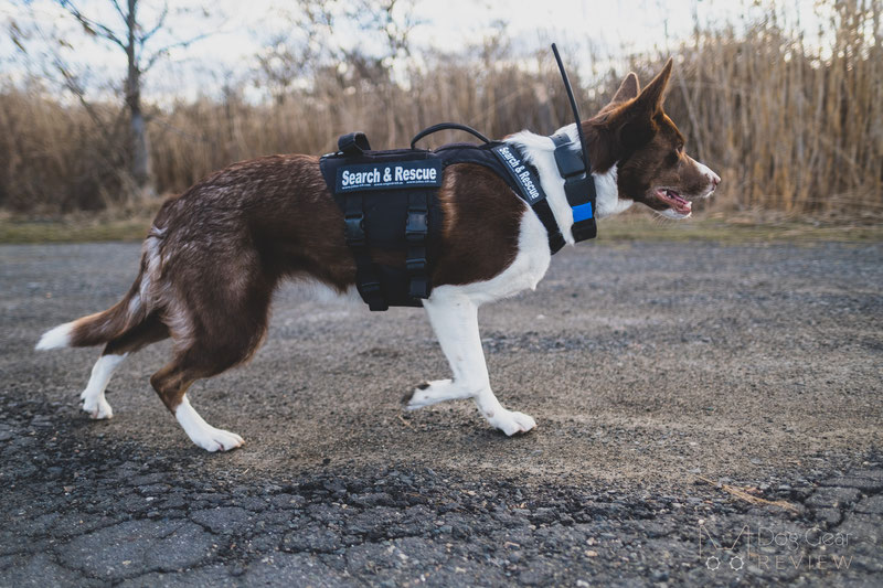 ONETIGRIS Beast Mojo Nylon Tactical Dog Harness, Coyote Brown, X-Small: 15  to 22-in chest 