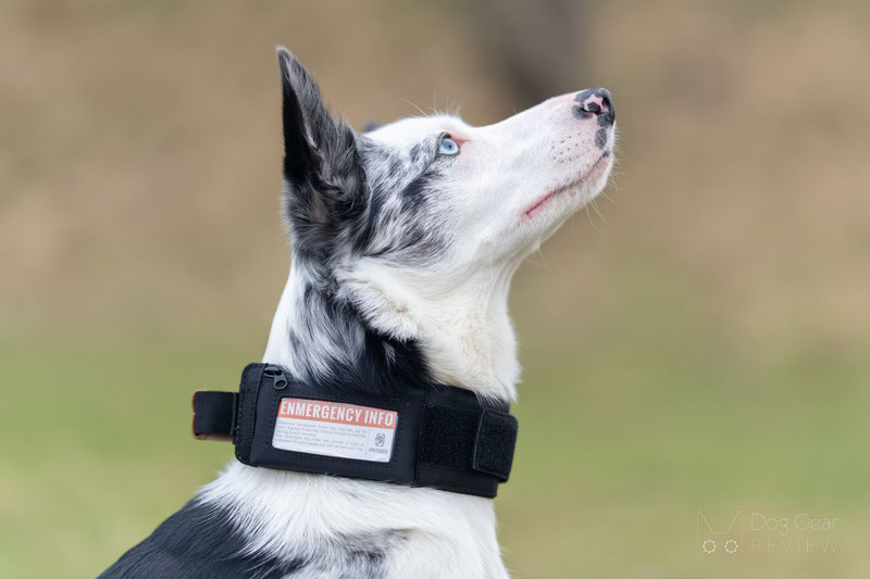 OneTigris Pouch Collar Review