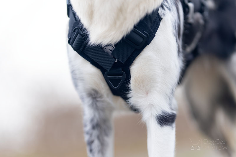  OneTigris X-ARMOR Tactical Harness Review | Dog Gear Review