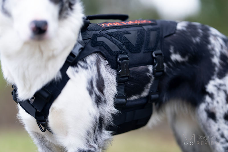  OneTigris X-ARMOR Tactical Harness Review | Dog Gear Review