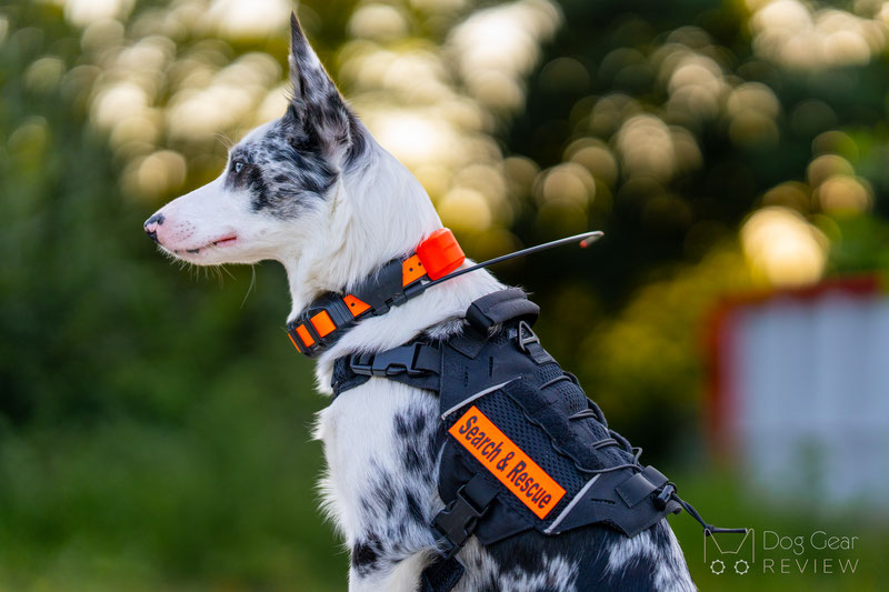 OneTigris X COMMANDER Tactical Harness Review | Dog Gear Review
