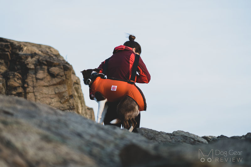 Mountain Dogware Pack-a-Paw Rescue Harness Review | Dog Gear Review