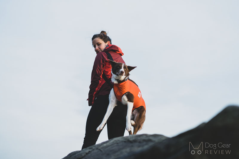 Mountain Dogware Pack-a-Paw Rescue Harness Review | Dog Gear Review
