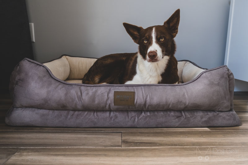 Pet Craft Supply Premium Orthopedic Lounger Bed Review | Dog Gear Review