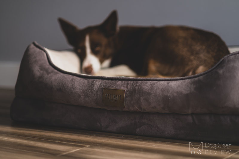 Pet Craft Supply Premium Orthopedic Lounger Bed Review | Dog Gear Review