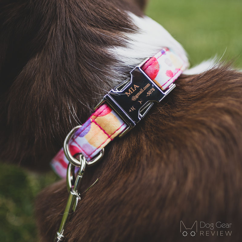 PETDURO Engraved Collar and Leash Review | Dog Gear Review