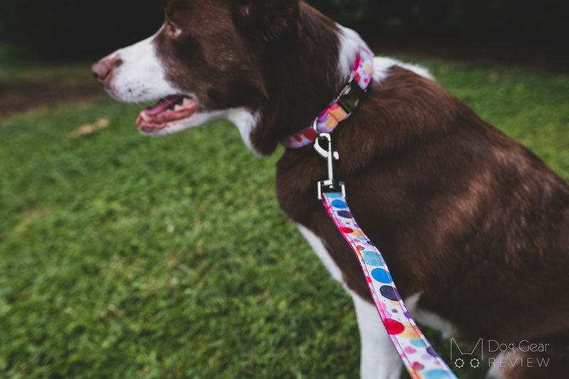 PETDURO Engraved Collar and Leash Review | Dog Gear Review