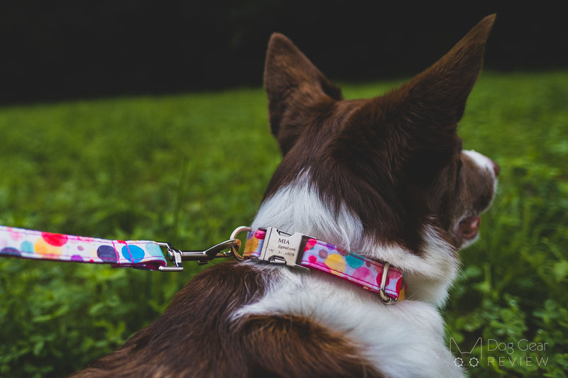 PETDURO Engraved Collar and Leash Review | Dog Gear Review