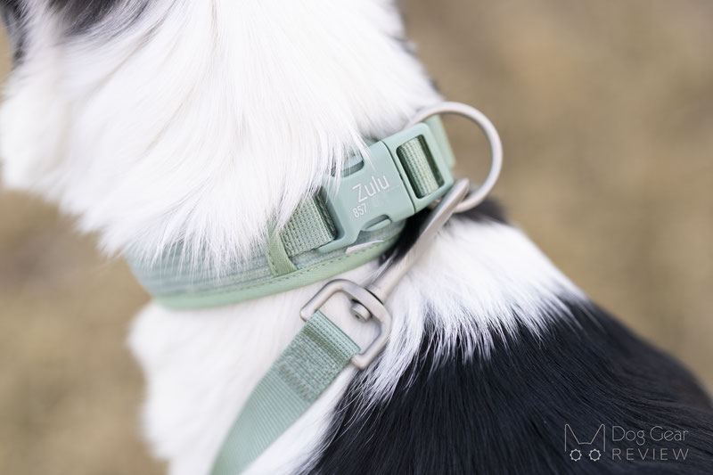PETDURO Personalized and Padded Set Review | Dog Gear Review