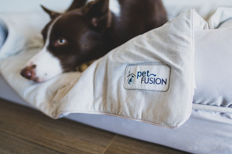 Petfusion blanket 2025