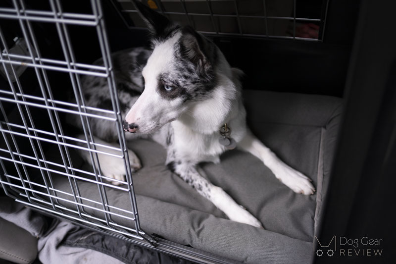 PetFusion Lavender Infused & Thermo Control Bed Review | Dog Gear Review