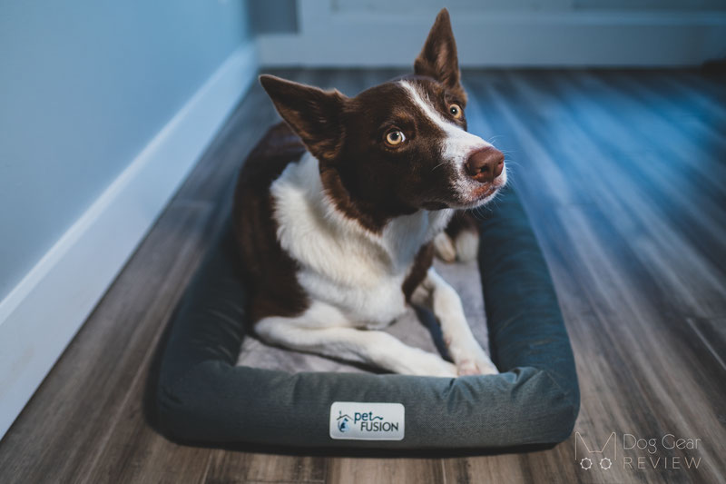 PetFusion Lavender Infused & Thermo Control Bed Review | Dog Gear Review