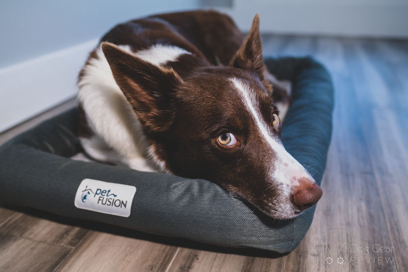 PetFusion Lavender Infused & Thermo Control Bed Review | Dog Gear Review