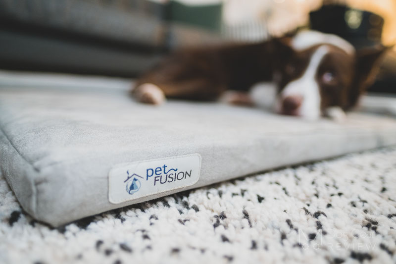 PetFusion Puppychoice Crate Pad Review | Dog Gear Review