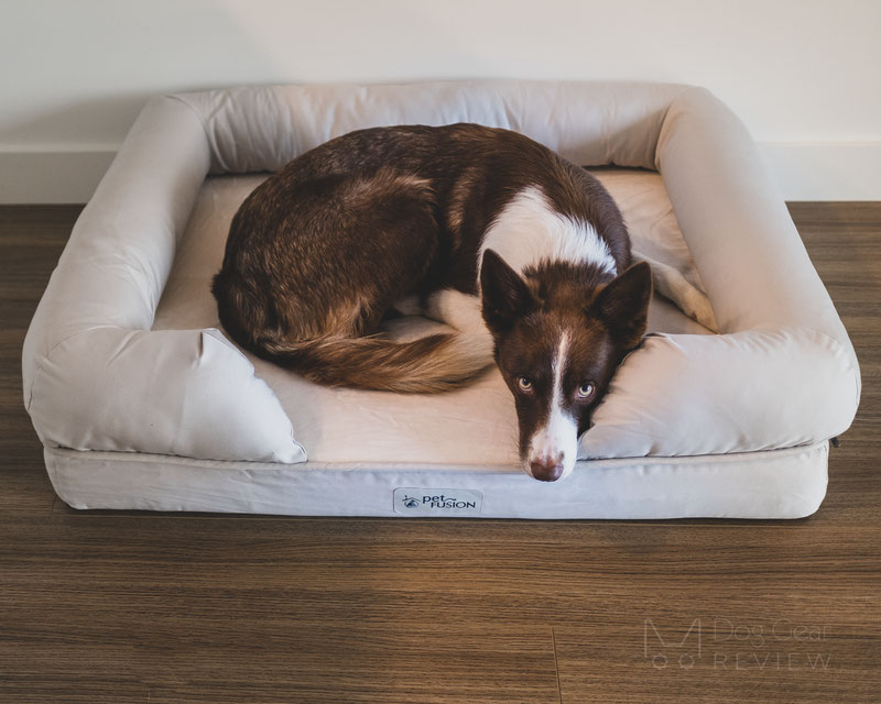 Petfusion ultimate dog bed best sale & lounge