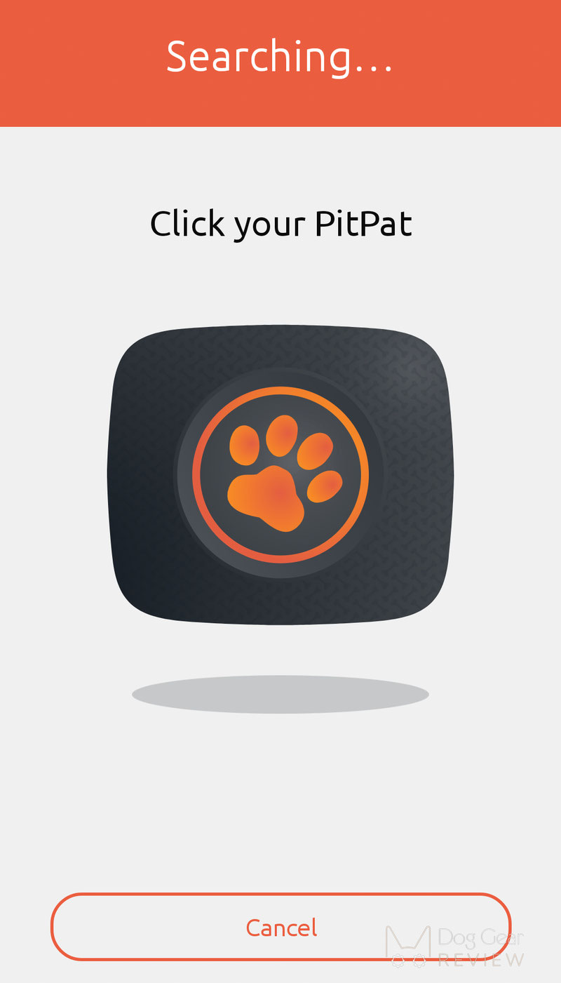 PitPat Dog Activity Monitor Review