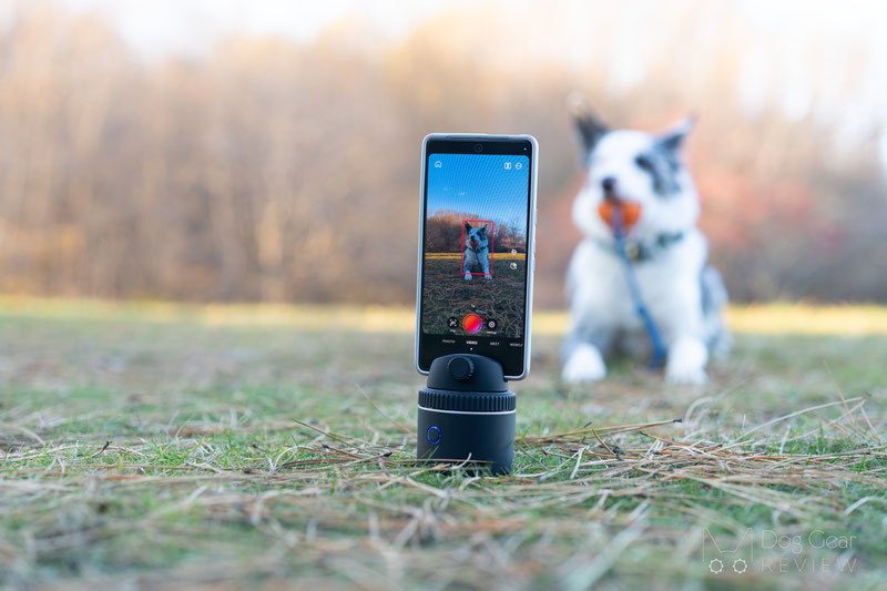 Pivo Pod Review | Dog Gear Review