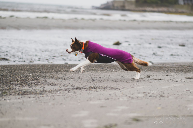 Pomppa JumppaPomppa Review | Dog Gear Review